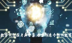 狐狸数字钱包图片大全集