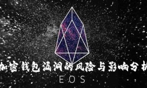 加密钱包漏洞的风险与影响分析