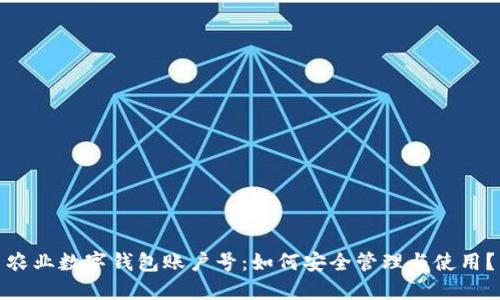 农业数字钱包账户号：如何安全管理与使用？