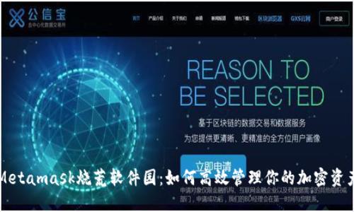 Metamask烧荒软件园：如何高效管理你的加密资产