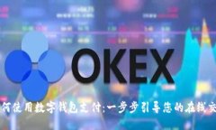 如何使用数字钱包支付：