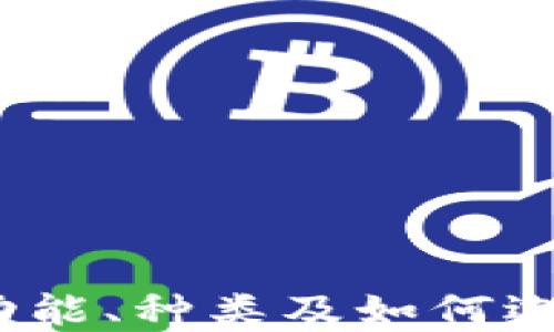 
区块链钱包详解：功能、种类及如何选择最适合你的钱包
