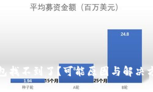 小狐钱包找不到了？可能原因与解决方法详解