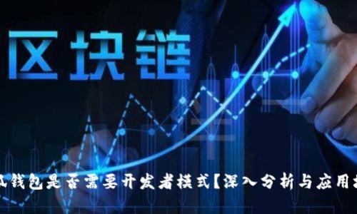 小狐钱包是否需要开发者模式？深入分析与应用场景