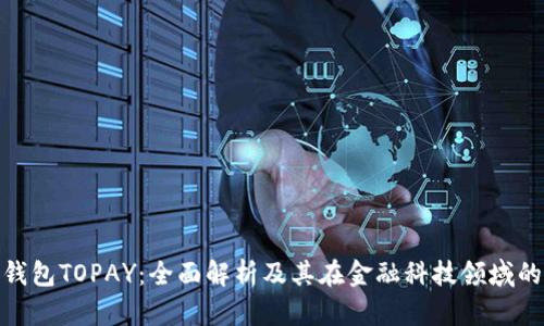 数字钱包TOPAY：全面解析及其在金融科技领域的影响