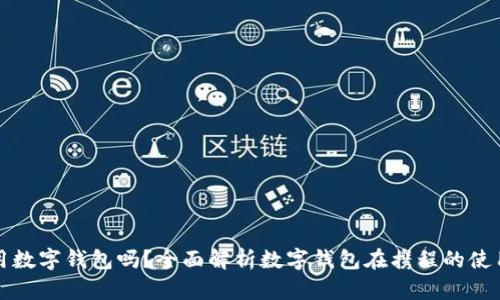 携程能用数字钱包吗？全面解析数字钱包在携程的使用与优势