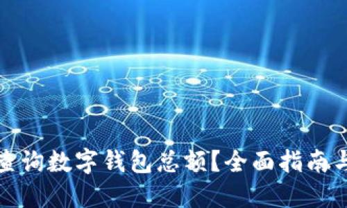 如何快速查询数字钱包总额？全面指南与实用技巧
