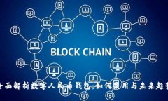 全面解析数字人民币钱包