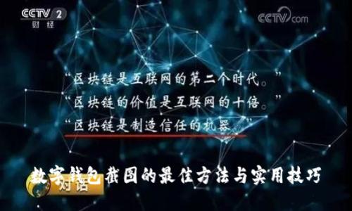 数字钱包截图的最佳方法与实用技巧