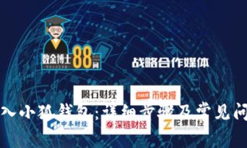 如何导入小狐钱包：详细步骤及常见问题解析