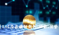 全方位解析BAC芯区块链钱