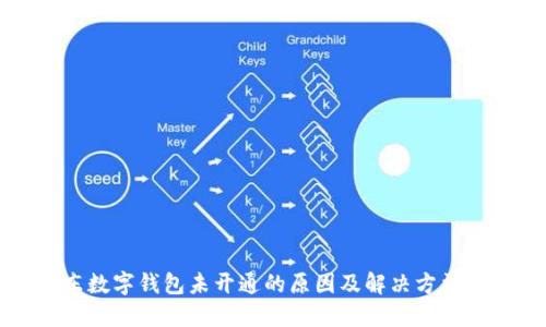 京东数字钱包未开通的原因及解决方法详解