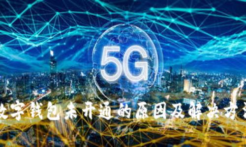 京东数字钱包未开通的原因及解决方法详解
