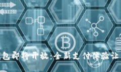 建行数字钱包即将开放：