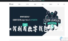 海口数字钱包无损：如何