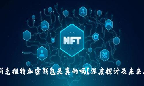 马斯克推特加密钱包是真的吗？深度探讨及未来展望