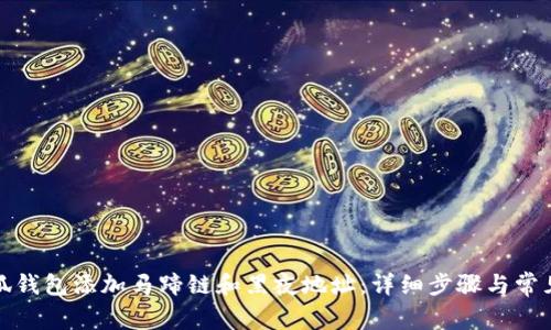 如何在小狐钱包添加马蹄链和黑夜地址：详细步骤与常见问题解答