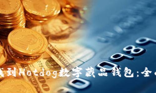 如何找到Hotdog数字藏品钱包：全面指南