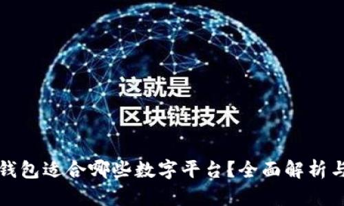 数字钱包适合哪些数字平台？全面解析与推荐
