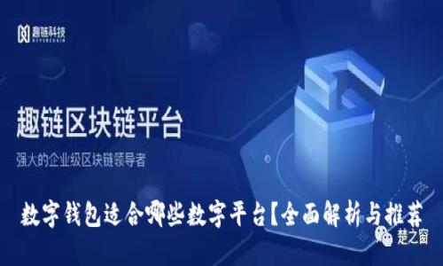 数字钱包适合哪些数字平台？全面解析与推荐