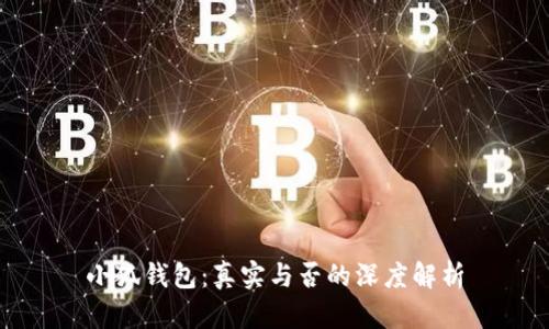 小狐钱包：真实与否的深度解析