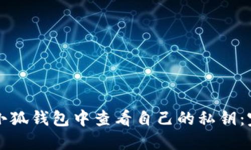 如何在小狐钱包中查看自己的私钥：完整指南
