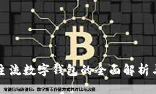 国内主流数字钱包的全面解析与对比