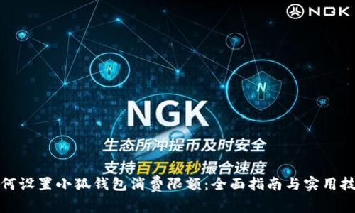 如何设置小狐钱包消费限额：全面指南与实用技巧