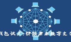 上海数字钱包试点：引领