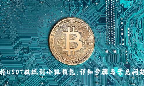 如何将USDT提现到小狐钱包：详细步骤与常见问题解答