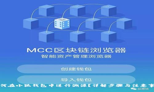 如何在小狐钱包中进行溯源？详解步骤与注意事项