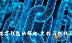 探索伊朗数字钱包的崛起