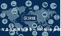 如何在小狐钱包中导入B