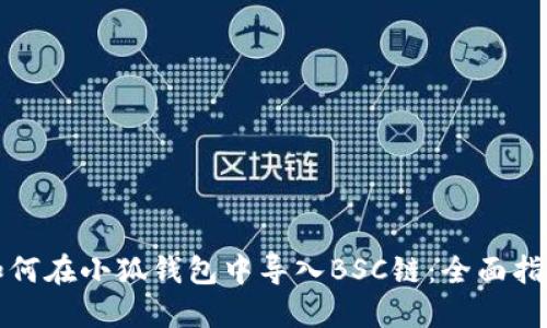 如何在小狐钱包中导入BSC链：全面指南