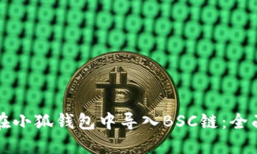 如何在小狐钱包中导入BSC链：全面指南
