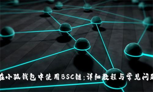如何在小狐钱包中使用BSC链：详细教程与常见问题解答