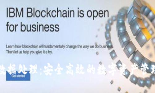 小狐钱包数据处理：安全高效的数字资产管理解决方案