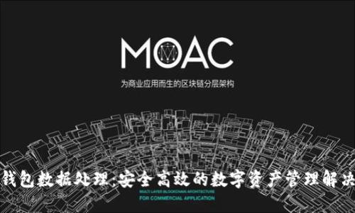 小狐钱包数据处理：安全高效的数字资产管理解决方案