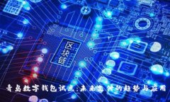 青岛数字钱包试点：未来