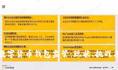 全面解读数字货币钱包监管：现状、挑战与未来发展