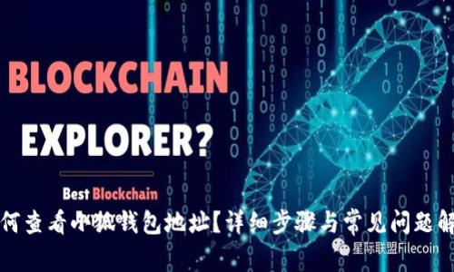 如何查看小狐钱包地址？详细步骤与常见问题解答