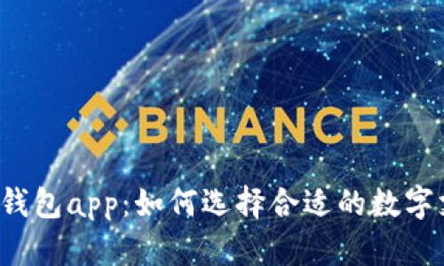 卡拉数字钱包app：如何选择合适的数字支付工具？