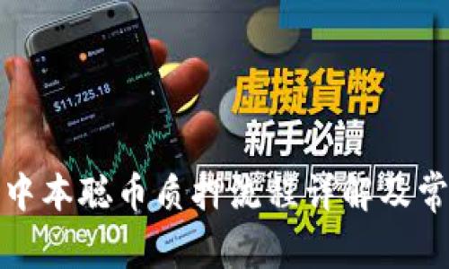 小狐钱包对中本聪币质押流程详解及常见问题解答