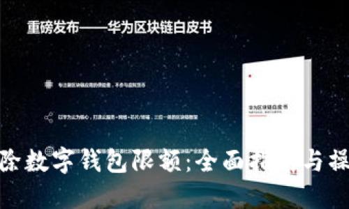如何解除数字钱包限额：全面指南与操作步骤