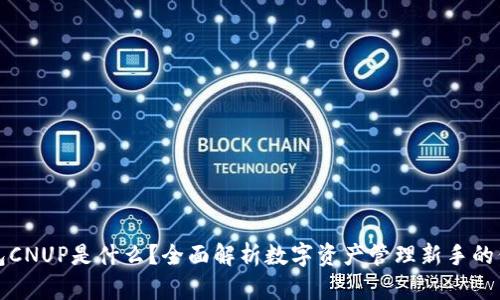 小狐钱包CNUP是什么？全面解析数字资产管理新手的信息宝藏