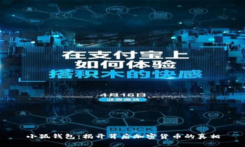 小狐钱包：揭开背后加密货币的真相