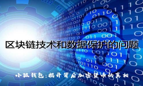 小狐钱包：揭开背后加密货币的真相