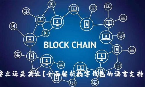 小狐钱包：中文还是英文？全面解析数字钱包的语言支持与用户体验