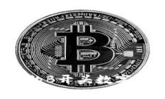 2023年度最受欢迎的B开头数