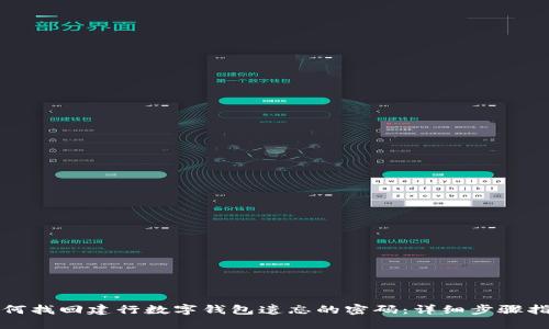 如何找回建行数字钱包遗忘的密码：详细步骤指南